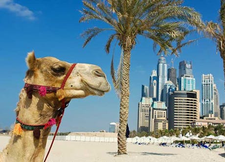 Emirados Árabes - Dubai 2