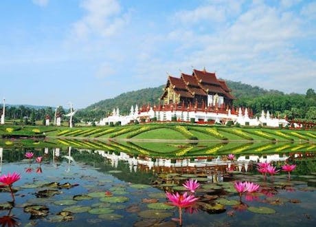 Chiang Mai - carrossel 2