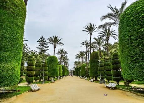 Cádiz - carrossel 3